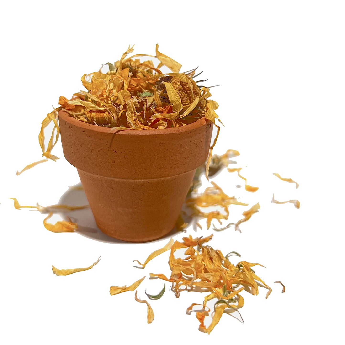 Calendula Flower Whole