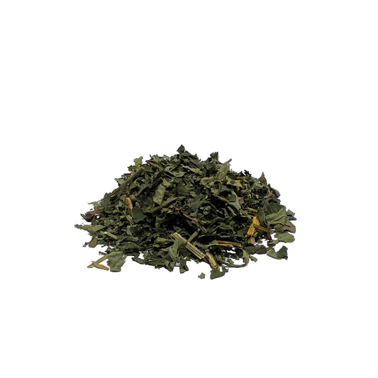 Dried goldenseal leaves and stems piled on a white background