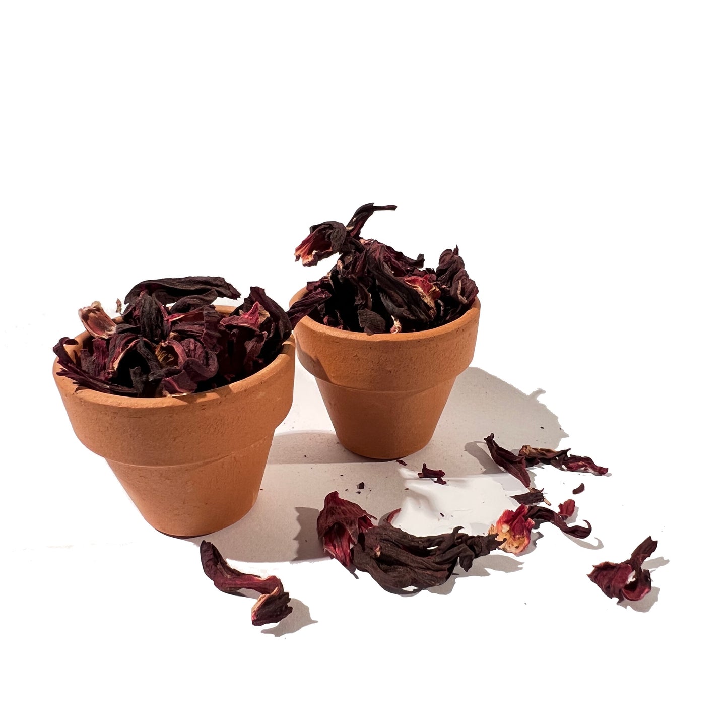Dried flower petals in two tiny terracotta pots