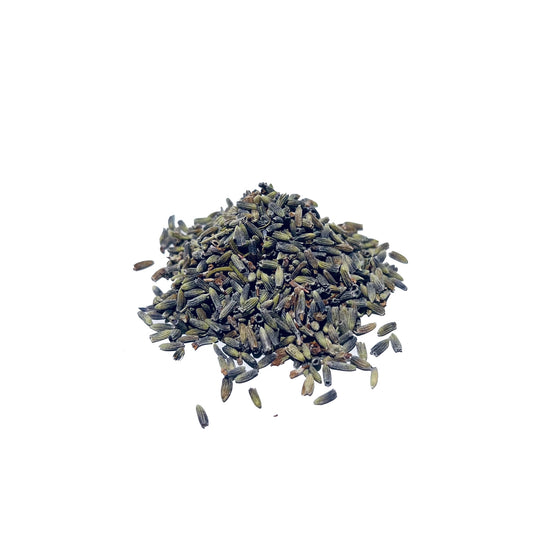 Blue-grey dried lavender flowers on a white background