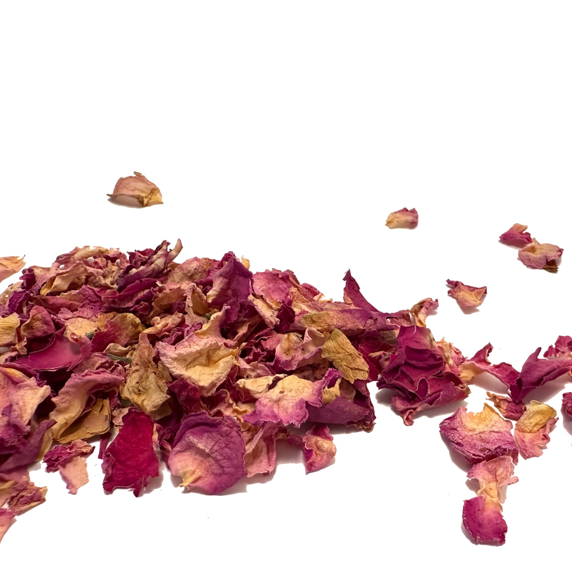 Dried pink rose petals scattered on a white background