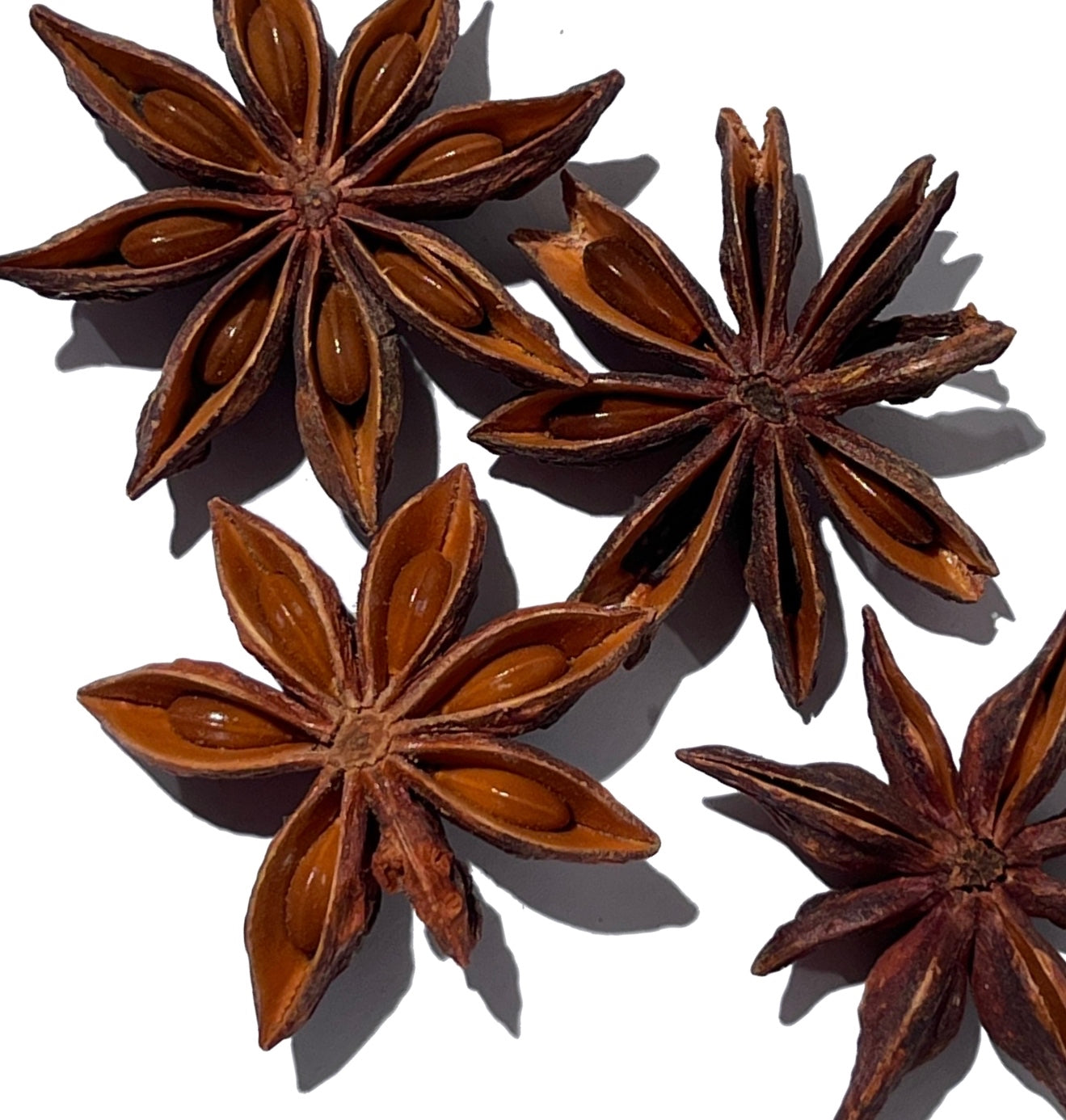 Detail of four reddish-brown star anise pods with seeds