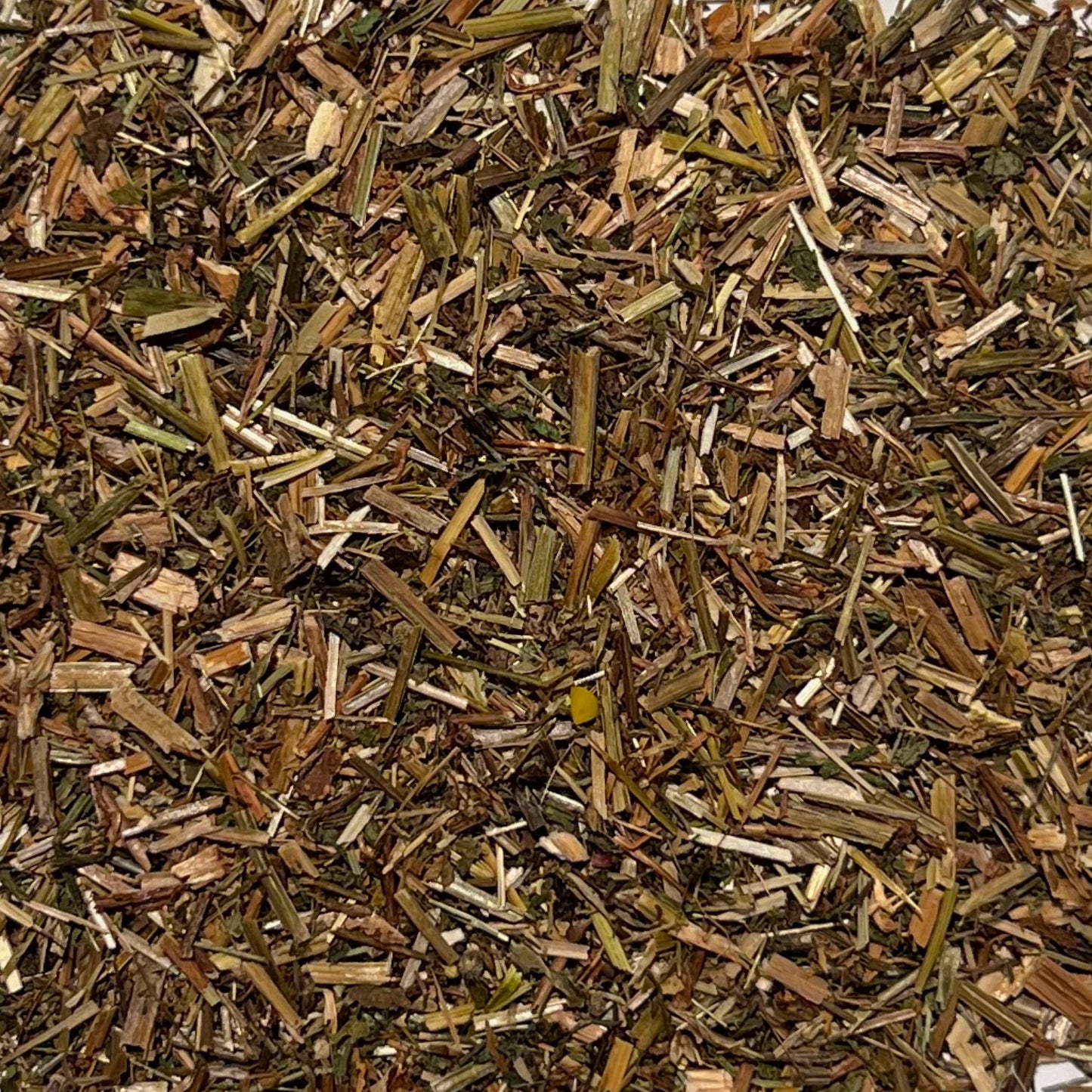 Stems and leaves of dried cleaver herb in brown, yellow and green tones