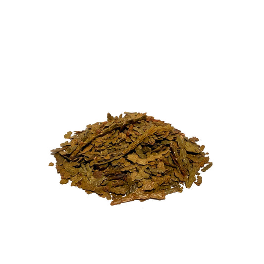 Eastern White Cedar Leaf Whole