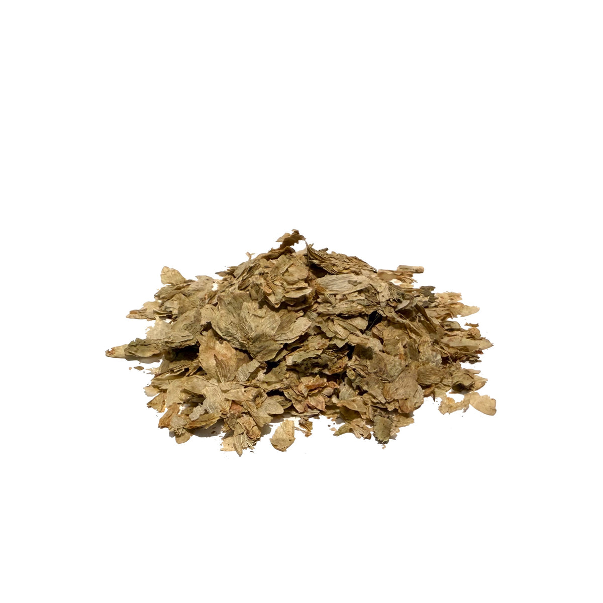 Loose bracts from hops flowers in light green and tan tones
