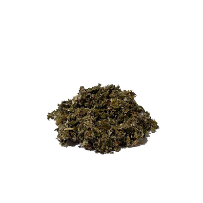 Mound of dark green-brown dried and crumpled leaves