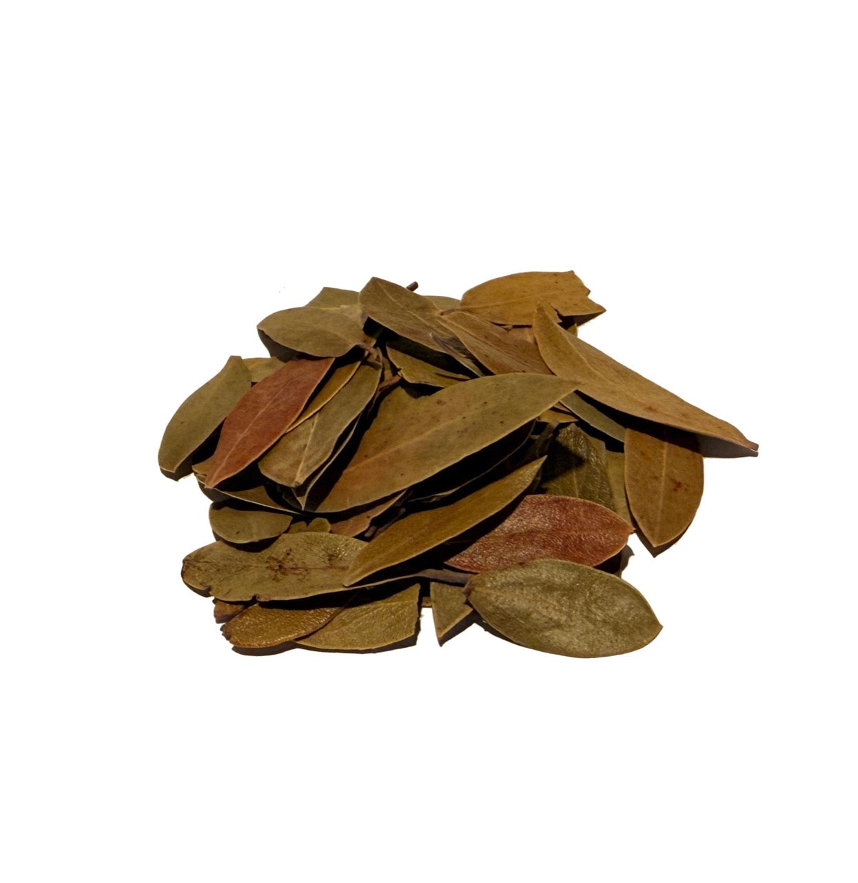Whole dried uva ursi leaves in olive green tones, piled on a white background