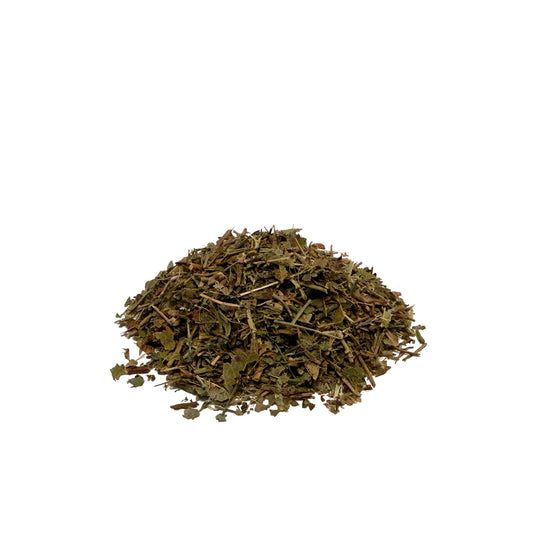 Dried green bilberry leaves piled on a white background