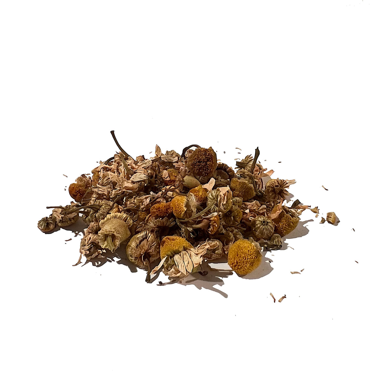 Whole dried chamomile flowers piled on a white background