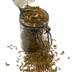 Fennel Seed Whole