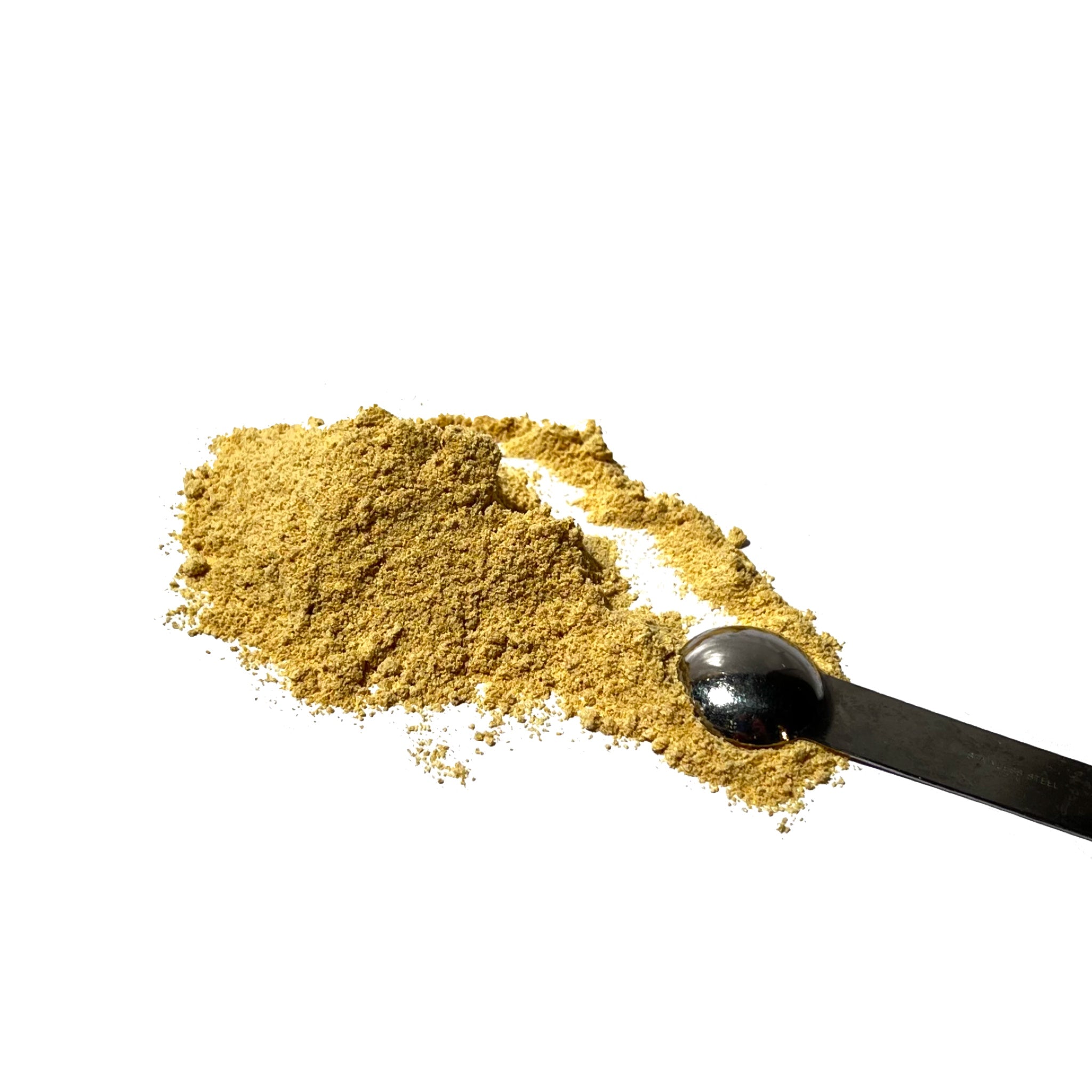 Black teaspoon scooping fenugreek seed powder