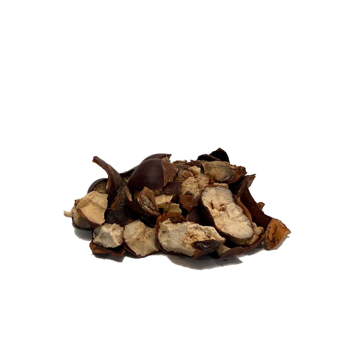 Cluster of cut horse chestnuts, glossy brown cracked shells mixed with broken beige nuts