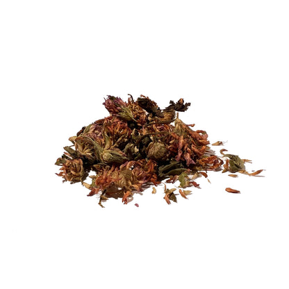 Loose dried red clover blossoms on a white background
