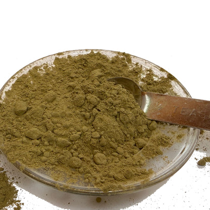 Stevia leaf powder on a clear dish with a metal half teaspoon.